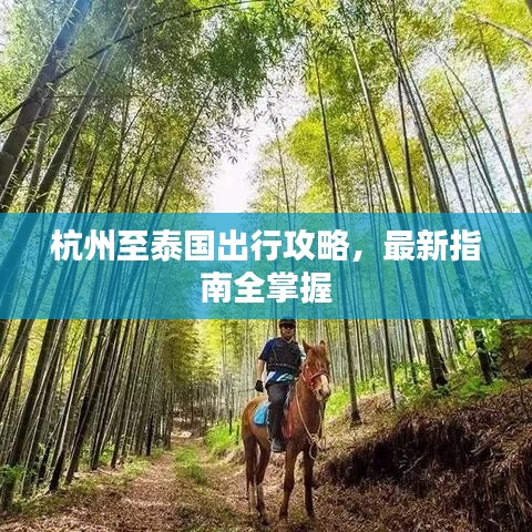 杭州至泰國(guó)出行攻略，最新指南全掌握