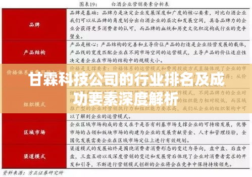 甘霖科技公司的行業(yè)排名及成功要素深度解析