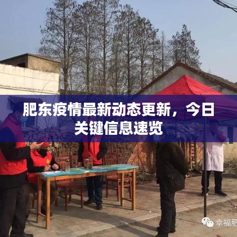 肥東疫情最新動(dòng)態(tài)更新，今日關(guān)鍵信息速覽