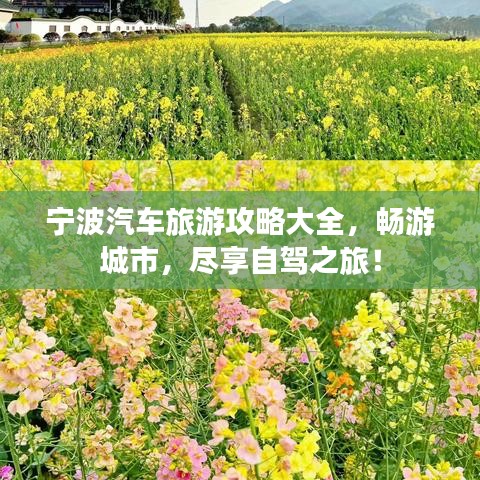 寧波汽車旅游攻略大全，暢游城市，盡享自駕之旅！