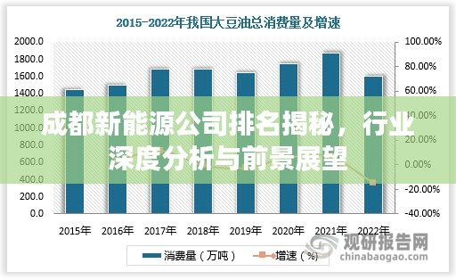 成都新能源公司排名揭秘，行業(yè)深度分析與前景展望