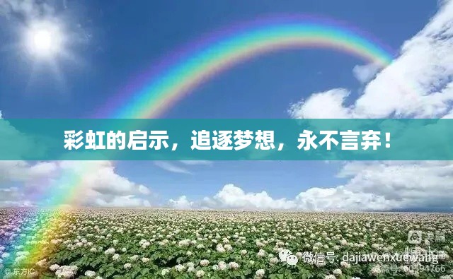 彩虹的啟示，追逐夢想，永不言棄！