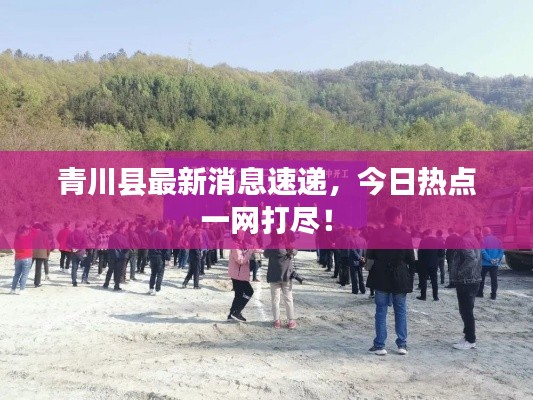 青川縣最新消息速遞，今日熱點一網(wǎng)打盡！