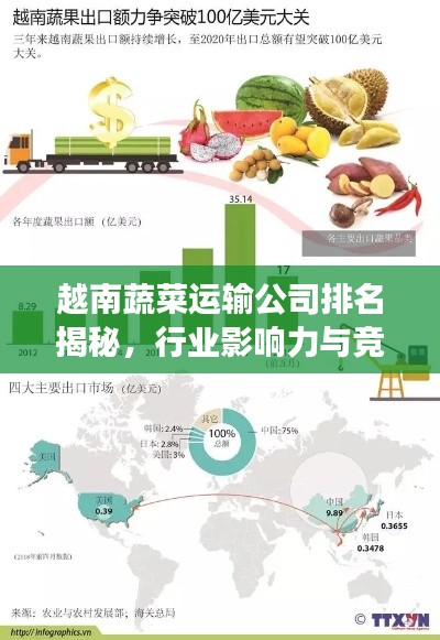 越南蔬菜運輸公司排名揭秘，行業(yè)影響力與競爭力分析