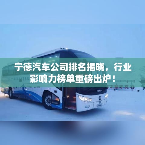 寧德汽車公司排名揭曉，行業(yè)影響力榜單重磅出爐！