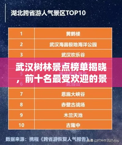 武漢樹林景點榜單揭曉，前十名最受歡迎的景點推薦！