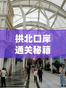 拱北口岸通關(guān)秘籍，最新攻略全解析