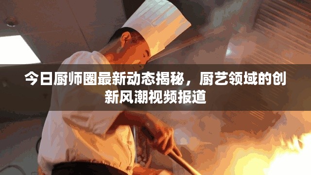 今日廚師圈最新動態(tài)揭秘，廚藝領(lǐng)域的創(chuàng)新風(fēng)潮視頻報道