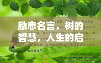 勵(lì)志名言，樹的智慧，人生的啟示