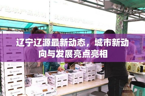 遼寧遼源最新動態(tài)，城市新動向與發(fā)展亮點(diǎn)亮相