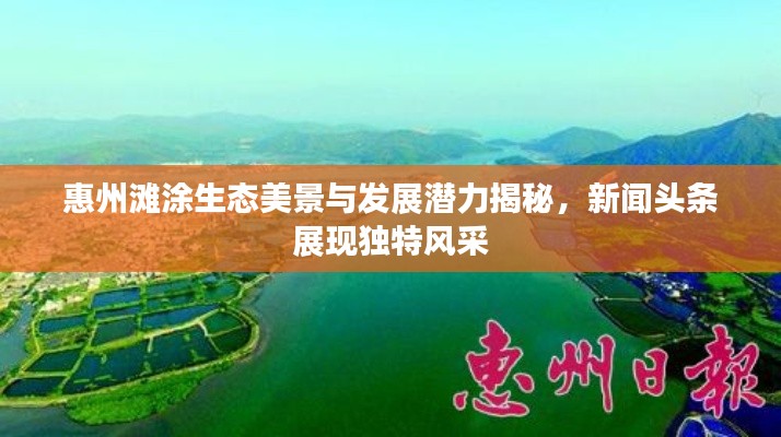 惠州灘涂生態(tài)美景與發(fā)展?jié)摿颐兀侣勵(lì)^條展現(xiàn)獨(dú)特風(fēng)采