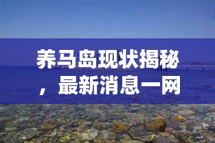 養(yǎng)馬島現(xiàn)狀揭秘，最新消息一網(wǎng)打盡