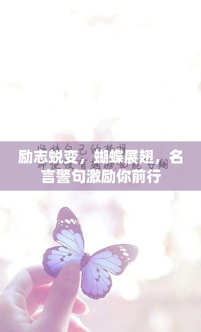 勵(lì)志蛻變，蝴蝶展翅，名言警句激勵(lì)你前行