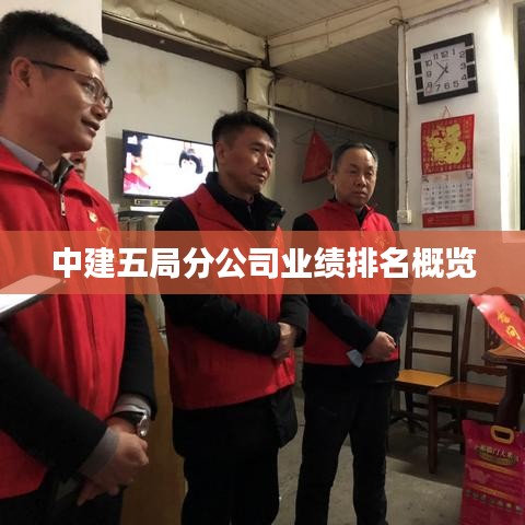 中建五局分公司業(yè)績排名概覽