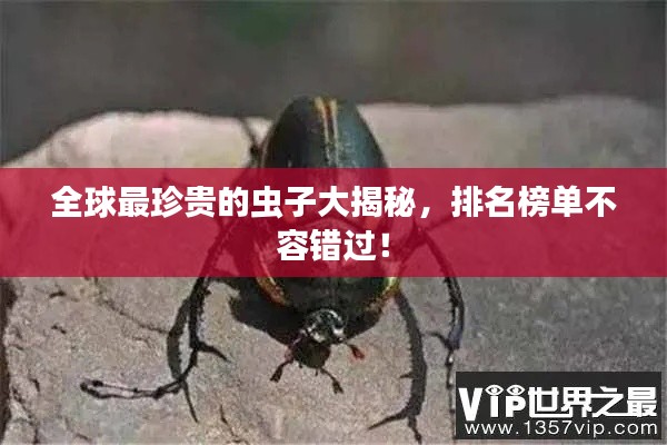 全球最珍貴的蟲子大揭秘，排名榜單不容錯過！