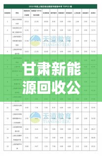 甘肅新能源回收公司排名揭曉，權(quán)威榜單，不容錯過！