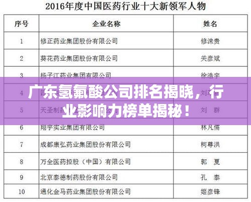 廣東氫氟酸公司排名揭曉，行業(yè)影響力榜單揭秘！