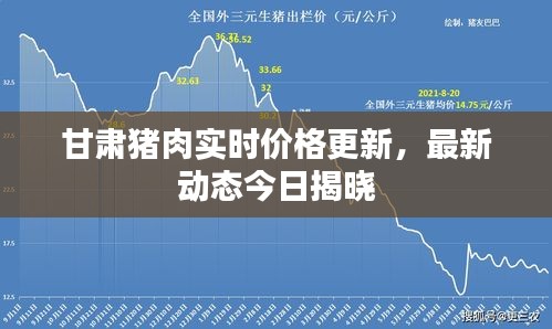 甘肅豬肉實(shí)時價格更新，最新動態(tài)今日揭曉