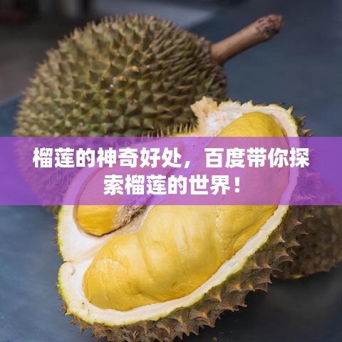 還淳反素