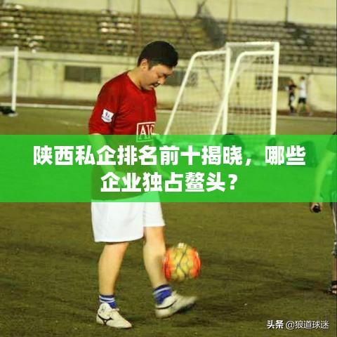 陜西私企排名前十揭曉，哪些企業(yè)獨(dú)占鰲頭？
