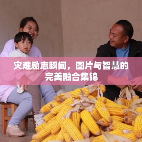 三足鼎立