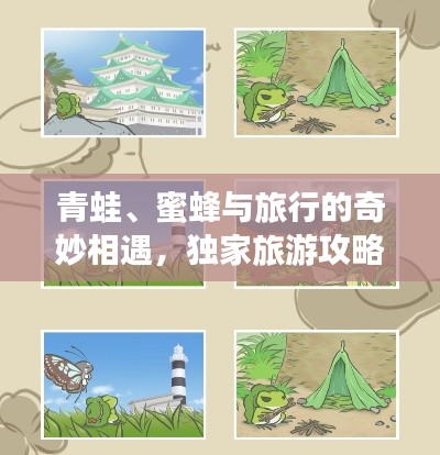 青蛙、蜜蜂與旅行的奇妙相遇，獨(dú)家旅游攻略分享