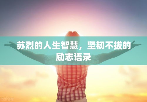 蘇烈的人生智慧，堅韌不拔的勵志語錄