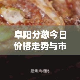 阜陽分蔥今日價(jià)格走勢(shì)與市場深度解析