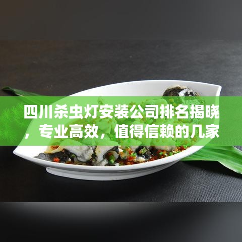 四川殺蟲燈安裝公司排名揭曉，專業(yè)高效，值得信賴的幾家企業(yè)
