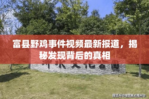 富縣野雞事件視頻最新報道，揭秘發(fā)現(xiàn)背后的真相