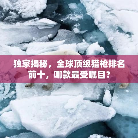 獨家揭秘，全球頂級獵槍排名前十，哪款最受矚目？