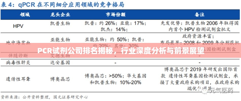 PCR試劑公司排名揭秘，行業(yè)深度分析與前景展望