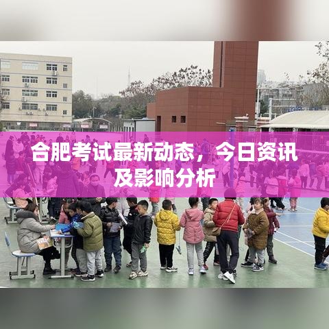 合肥考試最新動態(tài)，今日資訊及影響分析