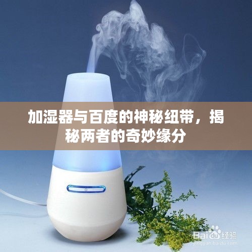 加濕器與百度的神秘紐帶，揭秘兩者的奇妙緣分