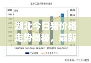 湖北今日豬價(jià)格走勢揭秘，最新動(dòng)態(tài)與行情分析