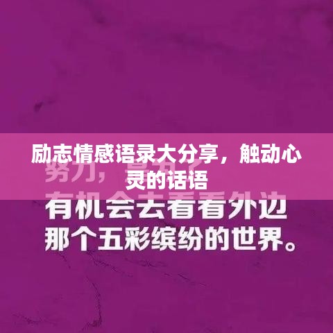 勵志情感語錄大分享，觸動心靈的話語