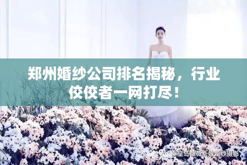 鄭州婚紗公司排名揭秘，行業(yè)佼佼者一網(wǎng)打盡！