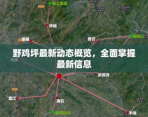 野雞坪最新動(dòng)態(tài)概覽，全面掌握最新信息