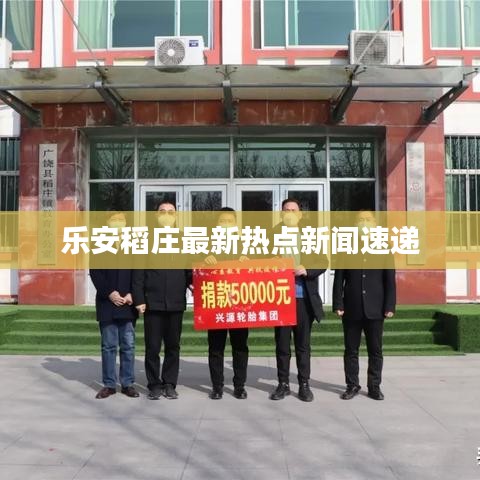樂安稻莊最新熱點新聞速遞