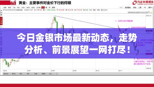 今日金銀市場最新動態(tài)，走勢分析、前景展望一網(wǎng)打盡！