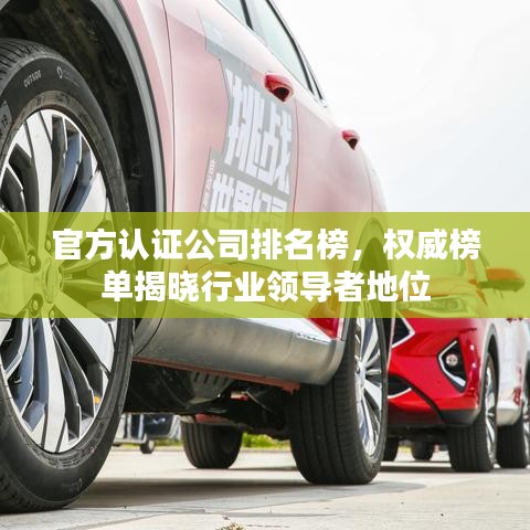 官方認證公司排名榜，權威榜單揭曉行業(yè)領導者地位