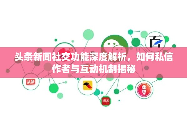 頭條新聞社交功能深度解析，如何私信作者與互動機制揭秘