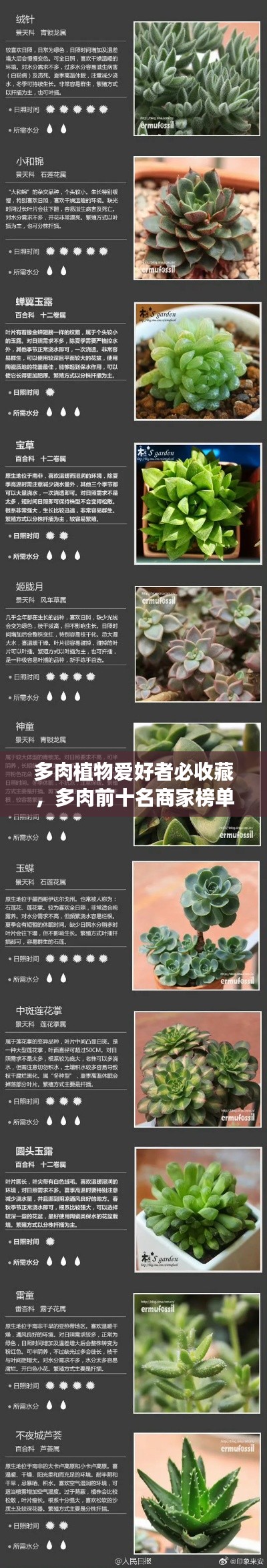 多肉植物愛好者必收藏，多肉前十名商家榜單揭秘！
