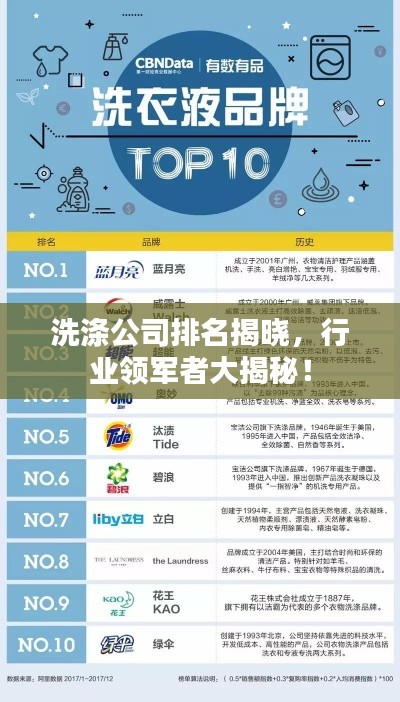 洗滌公司排名揭曉，行業(yè)領軍者大揭秘！
