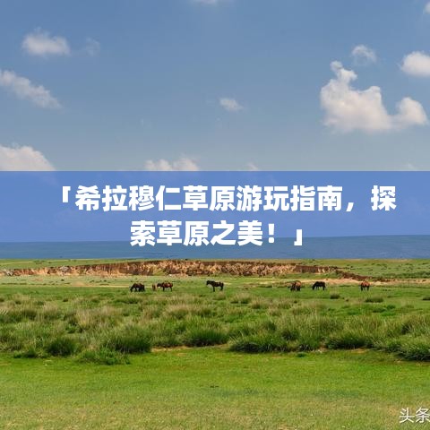 「希拉穆仁草原游玩指南，探索草原之美！」
