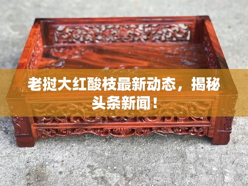 老撾大紅酸枝最新動(dòng)態(tài)，揭秘頭條新聞！