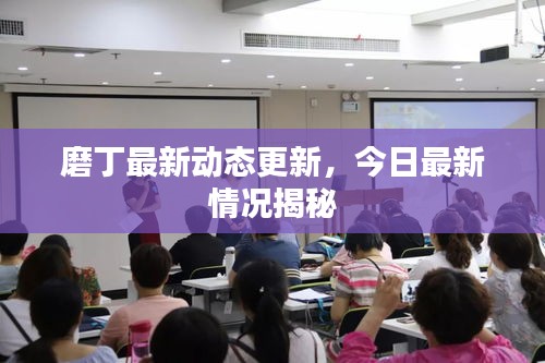 磨丁最新動態(tài)更新，今日最新情況揭秘