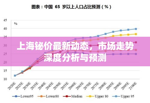上海鉍價最新動態(tài)，市場走勢深度分析與預(yù)測