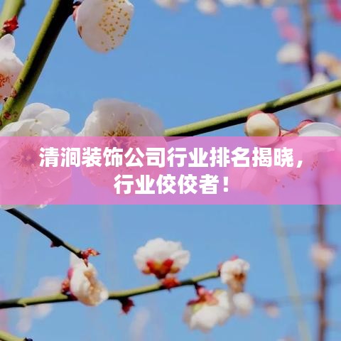 清澗裝飾公司行業(yè)排名揭曉，行業(yè)佼佼者！