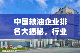 中國糧油企業(yè)排名大揭秘，行業(yè)領(lǐng)軍者一覽無余